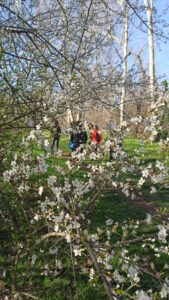 Contemplare la natura ispira calma e introspezione