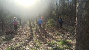 Le immersioni forestali prevedono attività guidate nel bosco